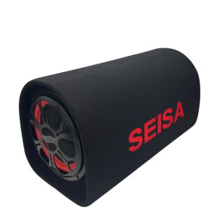 YX-BS518 SUBWOOFER BLUETOOTH DE 5″ 220V 12V 24V