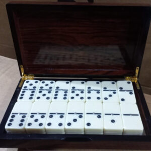 JUEGO DE DOMINO PREMIUM PK-200X48