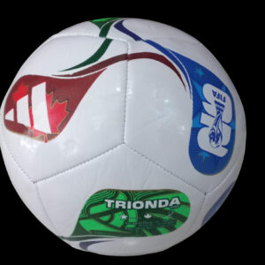 PELOTA DEL MUNDIAL N5 B44